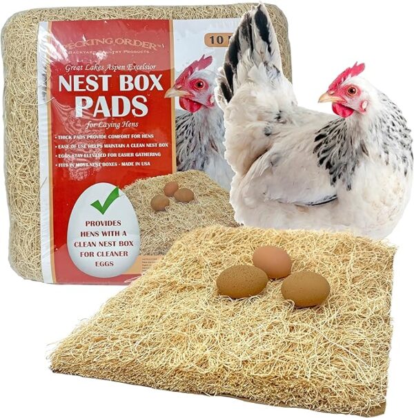 Nest Box Pads for Chicken Nesting Boxes - 13 x 13 Pads Made in USA from Sustainably Sourced Aspen Excelsior (10 Pack)