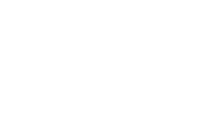 NJ trader Ltd